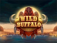 เกมสล็อต Wild Buffalo